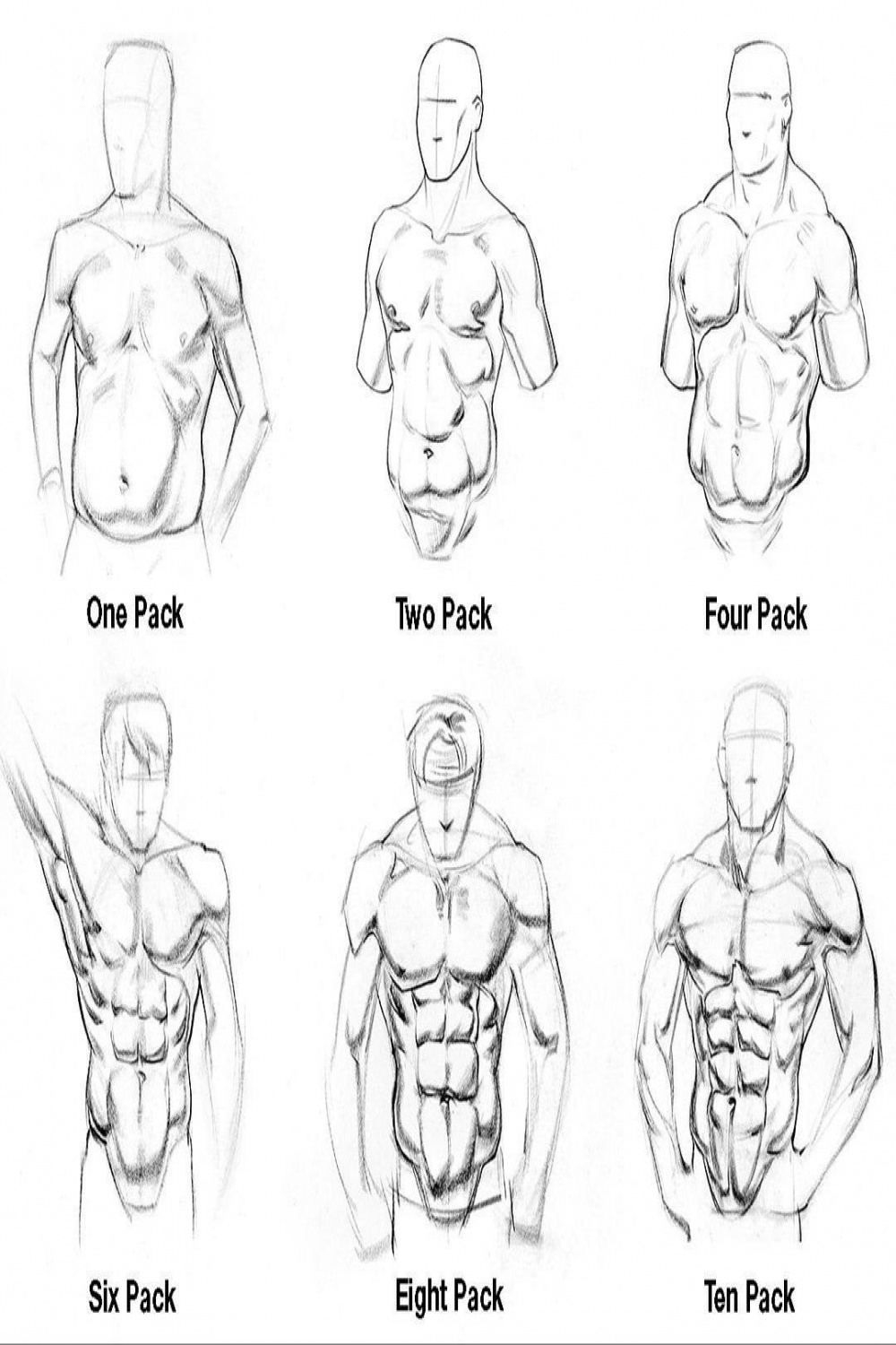 Pack abs  Animation art character design, Man sketch, Anatomy