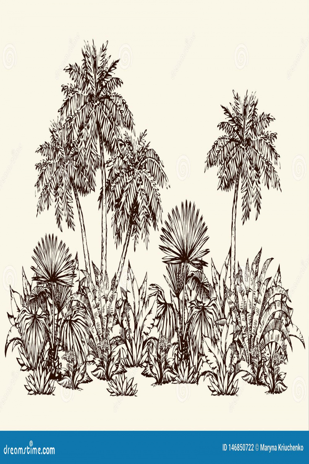 Palm Forest