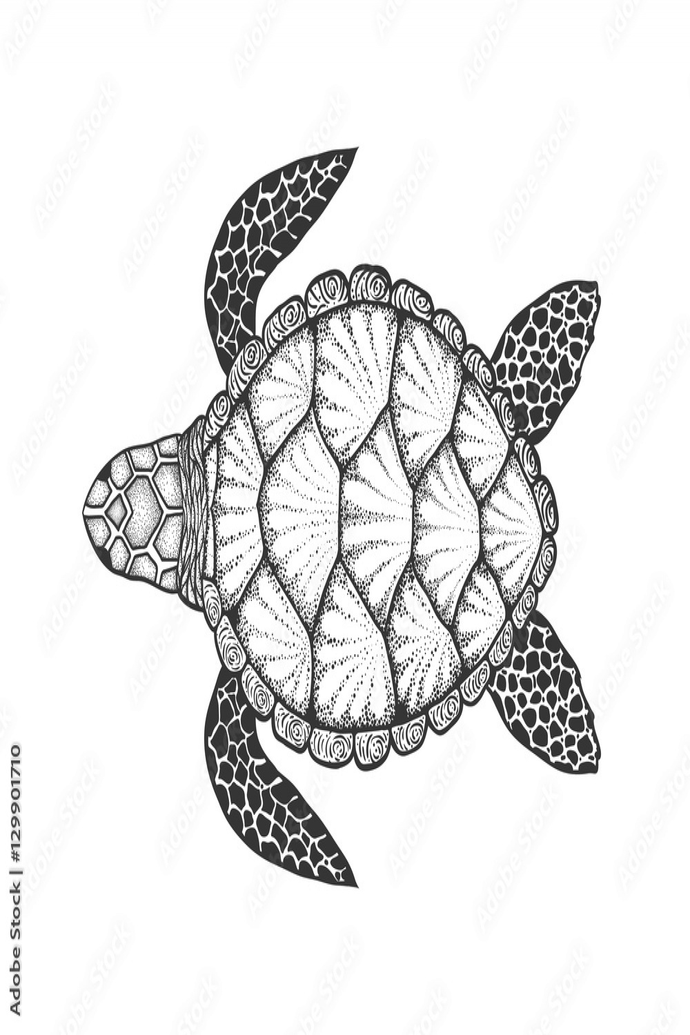 Sea turtle in line art style. Hand drawn vector illustration