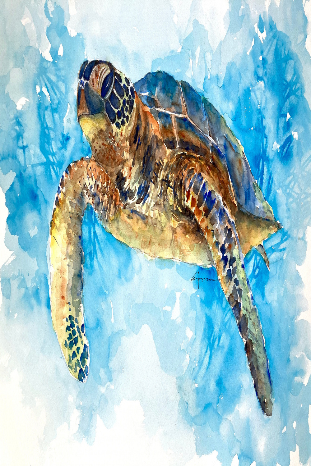 SEA TURTLE No.  Watercolor Print by Claudia Hafner - Etsy