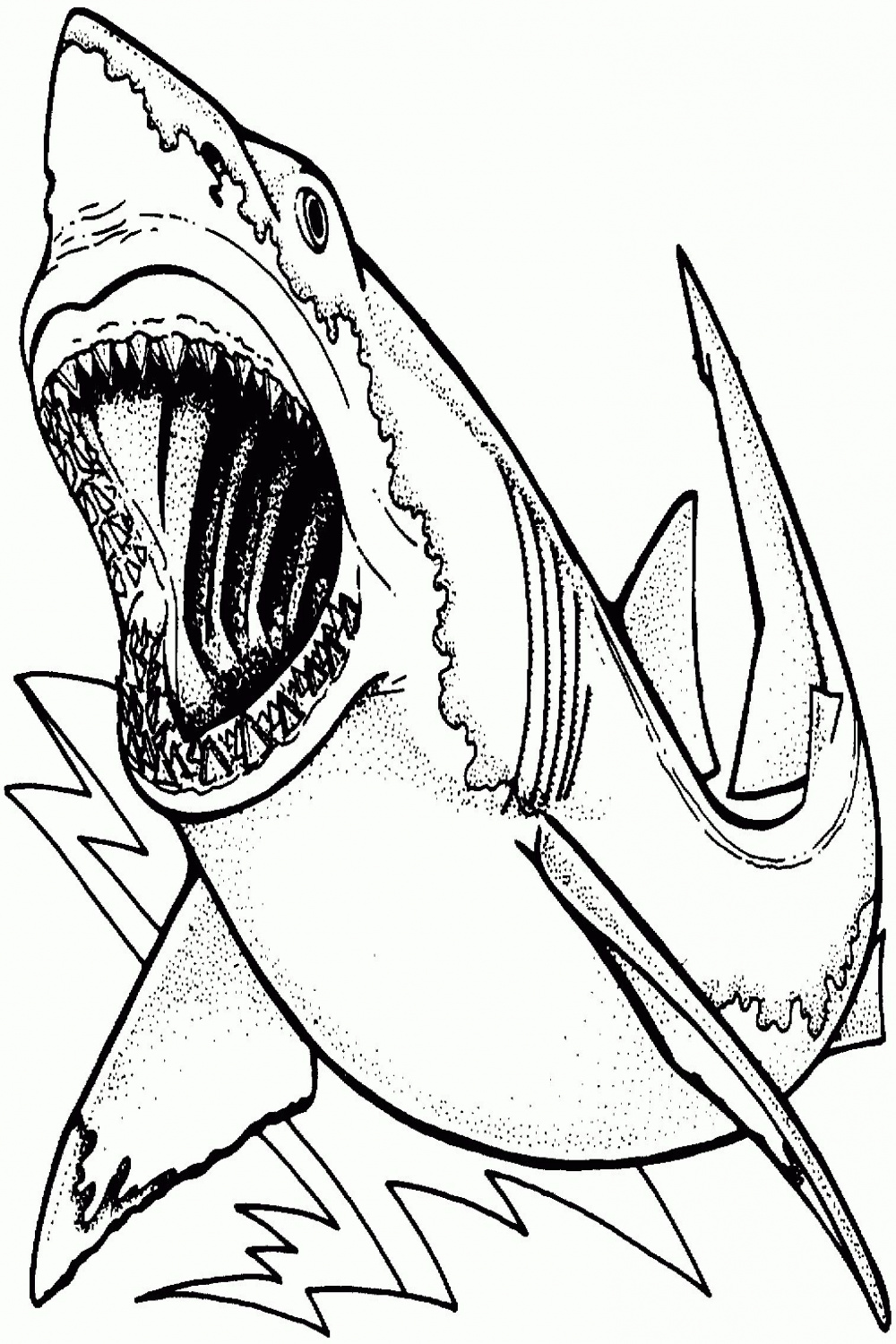 Shark Coloring Pages PDF Printable - Coloringfolder