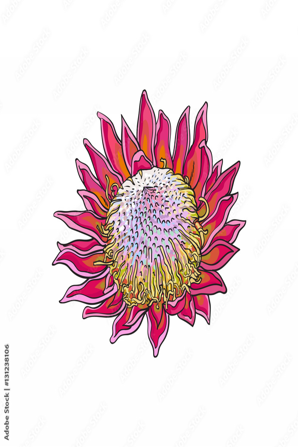 Single purple colored king protea, sketch style vector