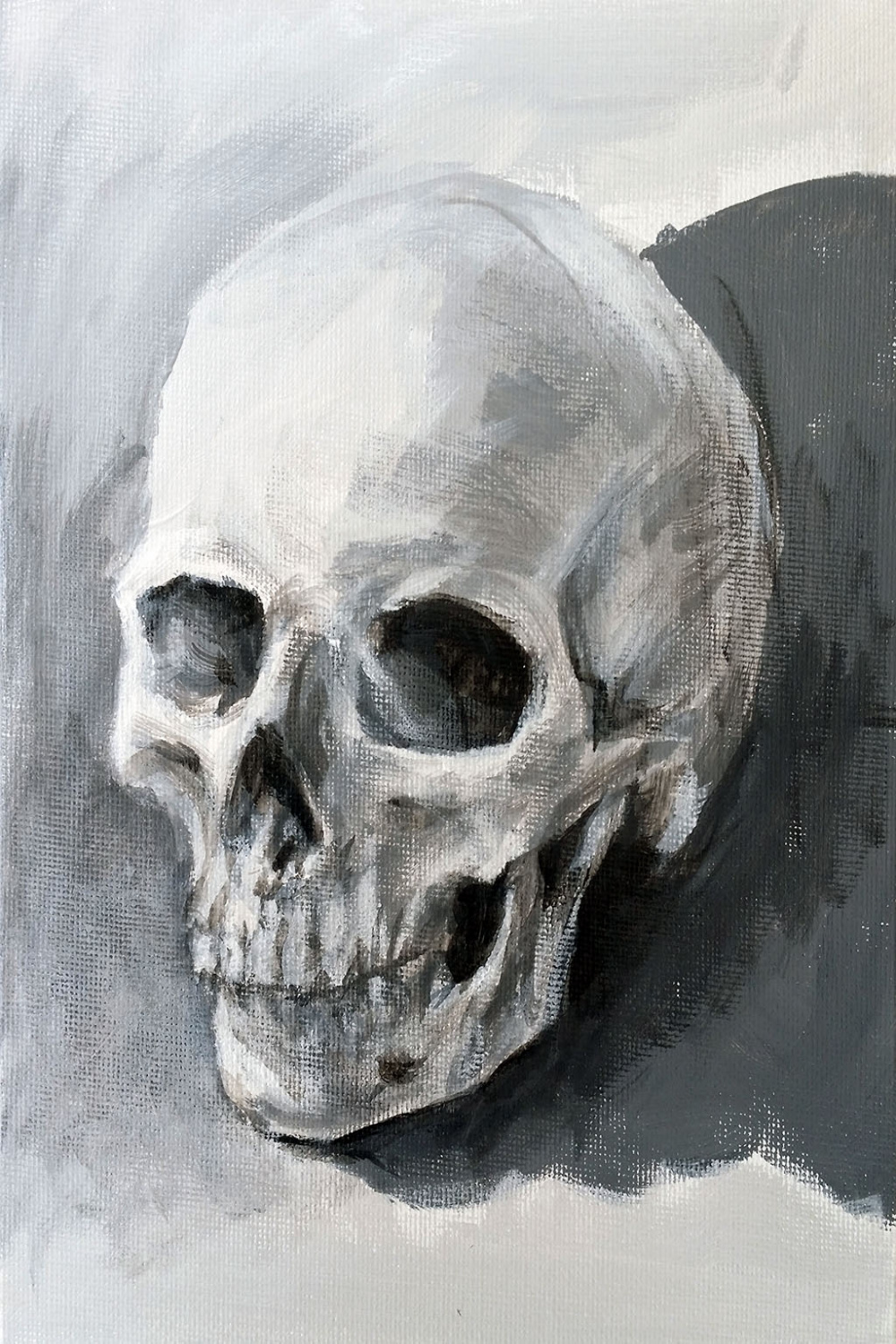 Skull Value Study  – Tim Eden  Artist