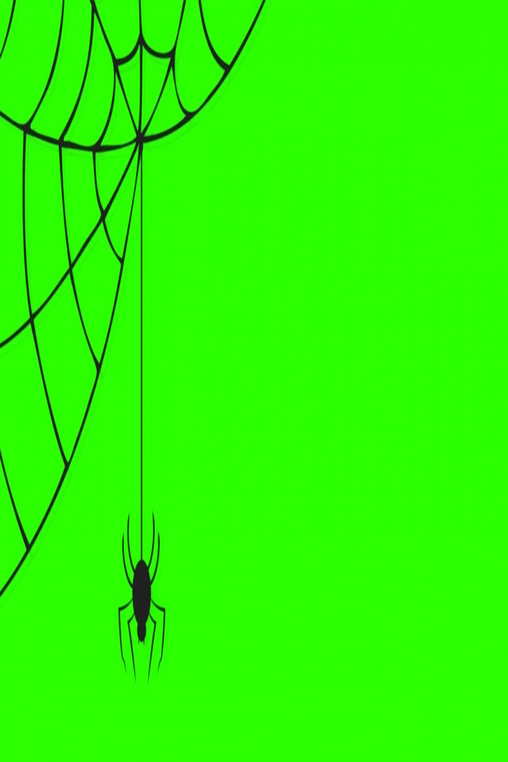 Spider # / Green Screen - Chroma Key in   Chroma key, Greenscreen,  Green screen video backgrounds