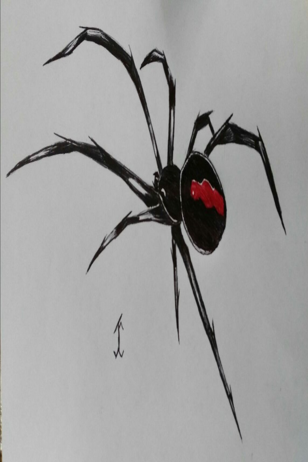 SpiderBlackwidow #spider #drawing #draw #pen #art #gothic