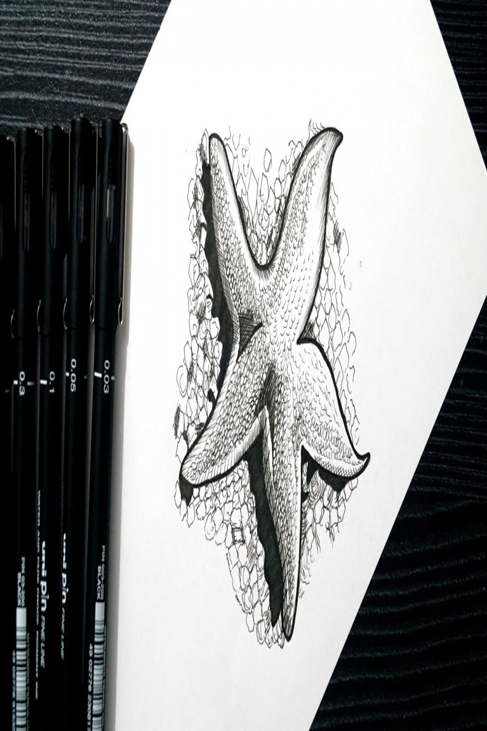 Starfish Drawing  D Star Fish Drawing  Starfish Doodle Drawing   Doodling Art  Black & White