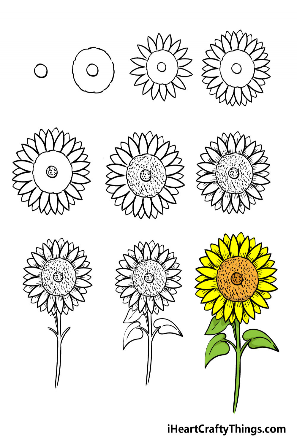 Sunflower Drawing - How To Draw A Sunflower Step By Step!