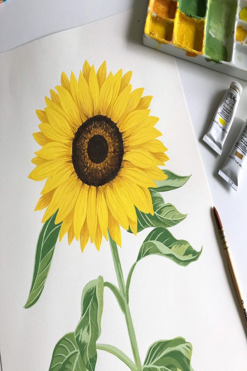 Sunflower Illustration