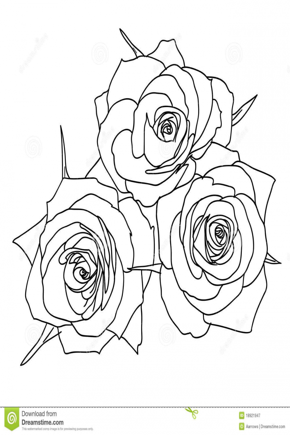 Three Roses in hand drawn style  How to draw hands, Rose in hand