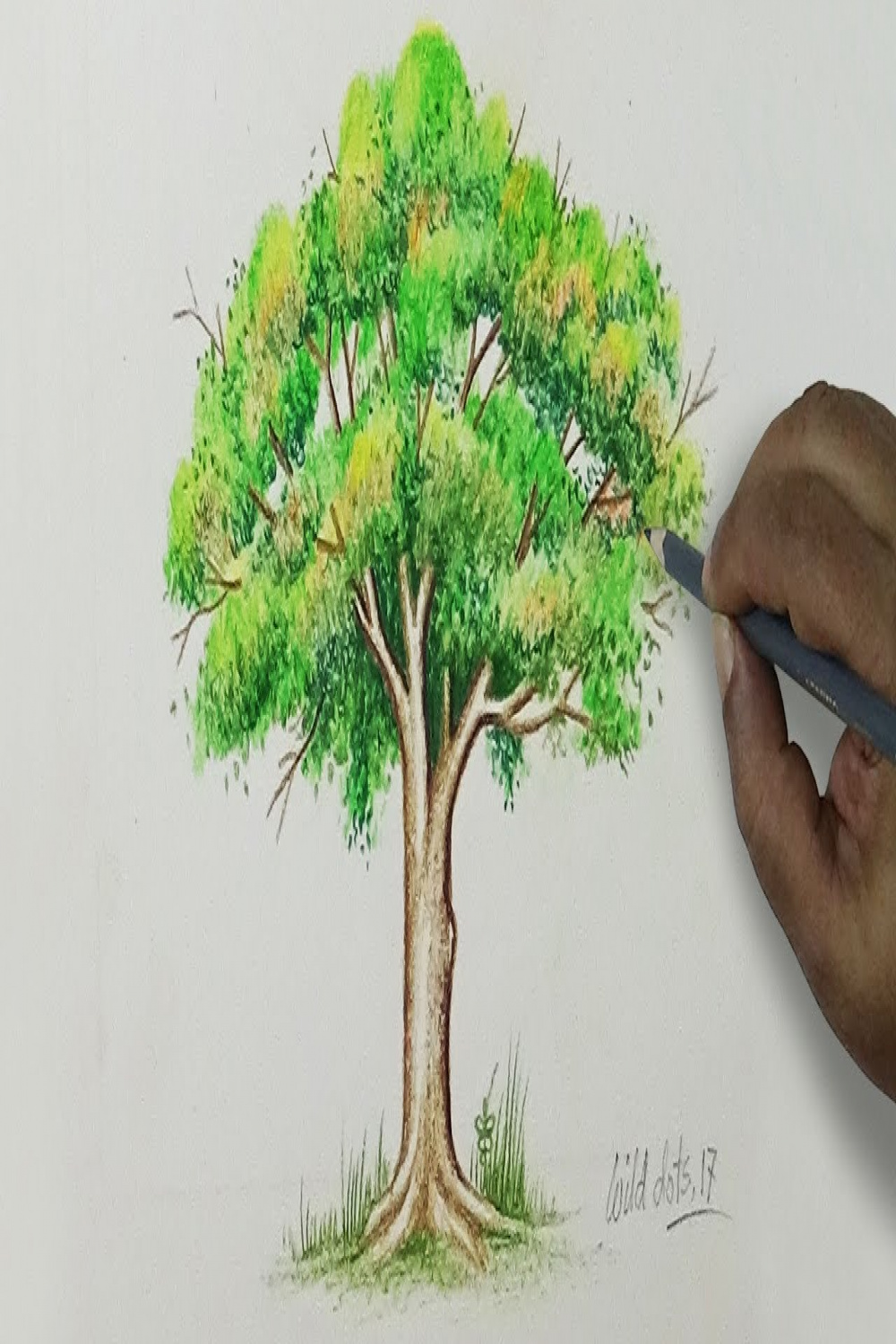 Tree - Drawing A Tree With Simple Colored Pencils