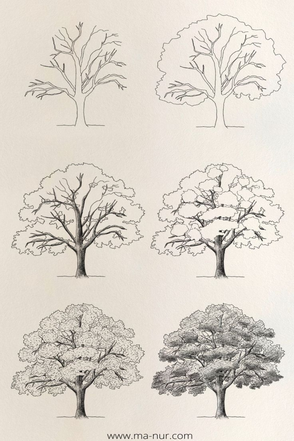 Trees Drawing Tutorials  Trees drawing tutorial, Trees art