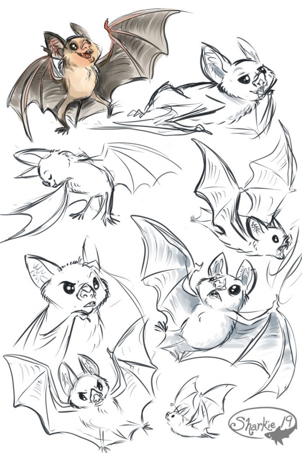 Vampire Bats by sharkie on DeviantArt  Fantasy art, Animal