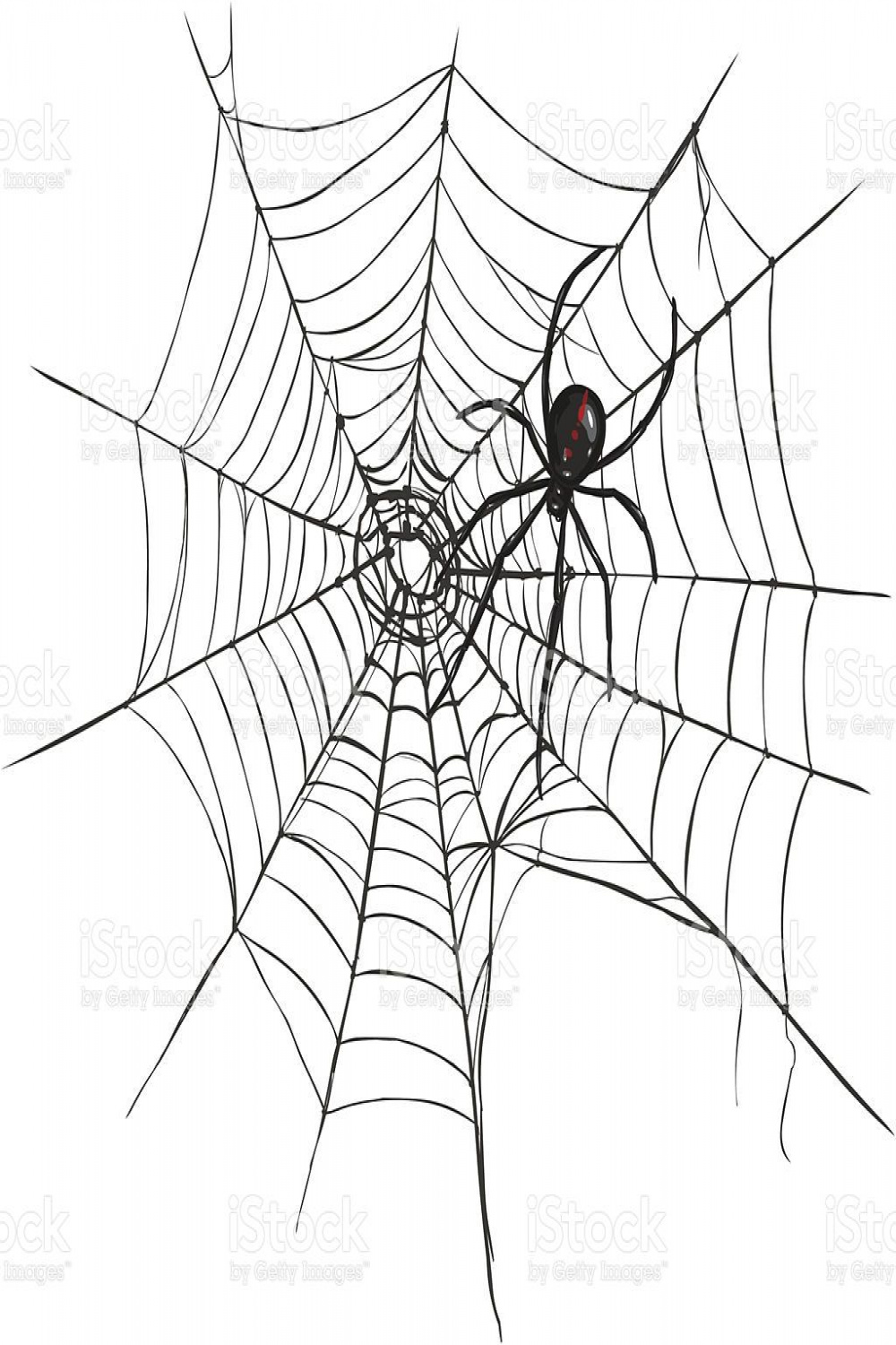 Vector Black Widow Spider on Spider