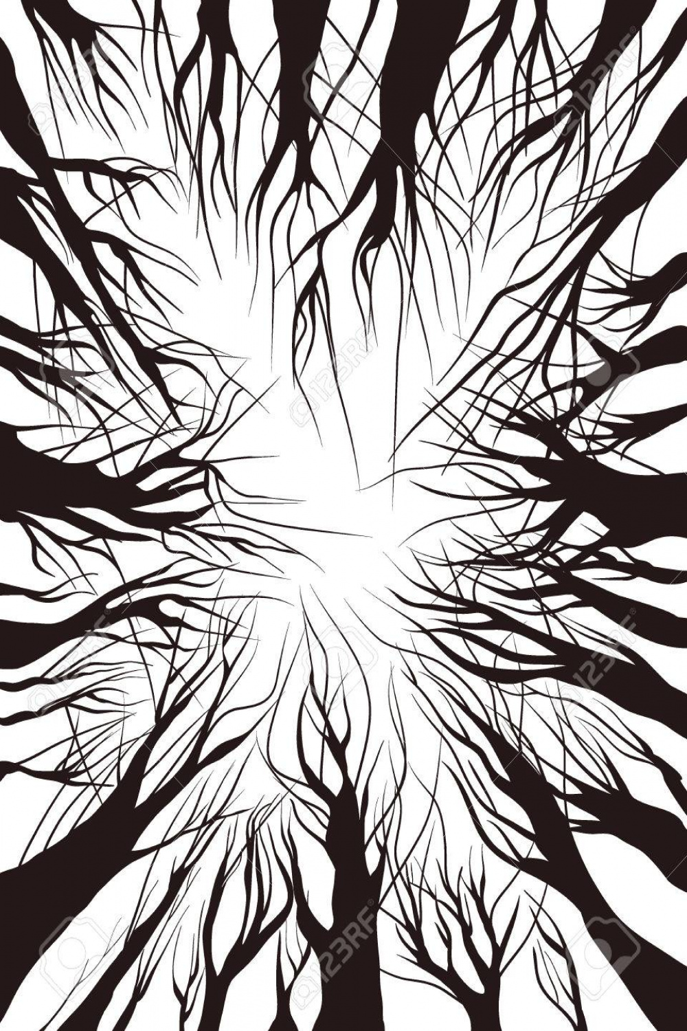 View Up Trees. Black On White. Vector Illustration Outline