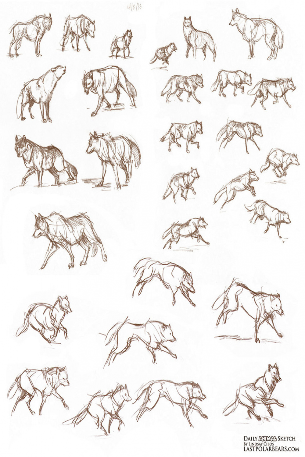 Wolves from the sketchbook by LCibos on DeviantArt