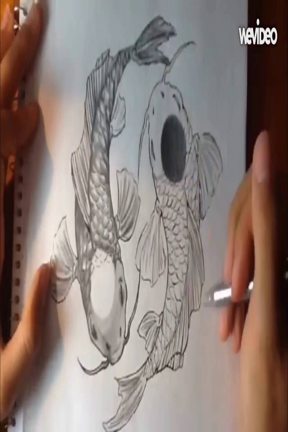 Yin Yang Koi Fish - Pencil + Pen Drawing Timelapse Tutorial