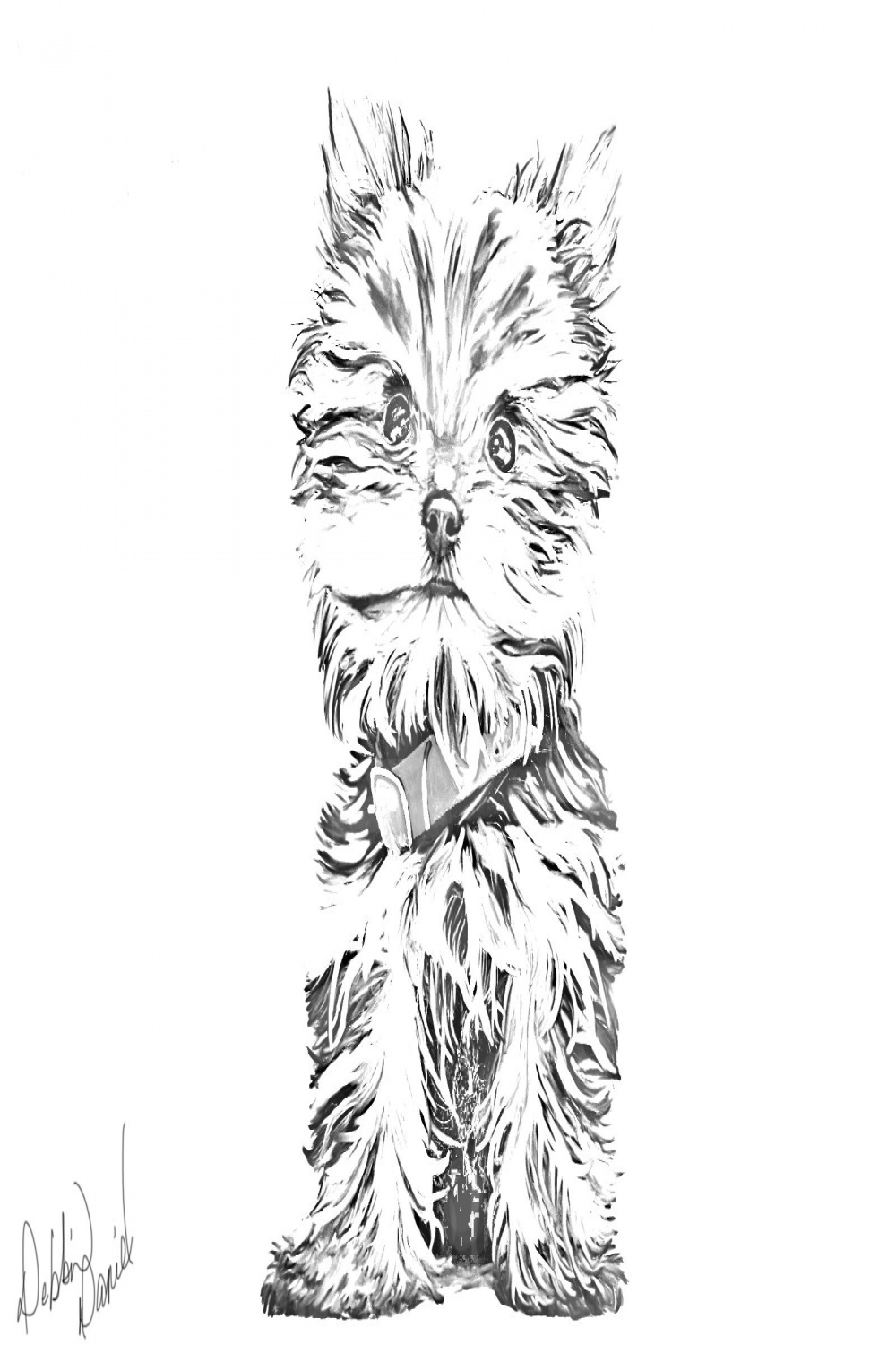 yorkie-sketch  Dog coloring page, Yorkie, Puppy coloring pages