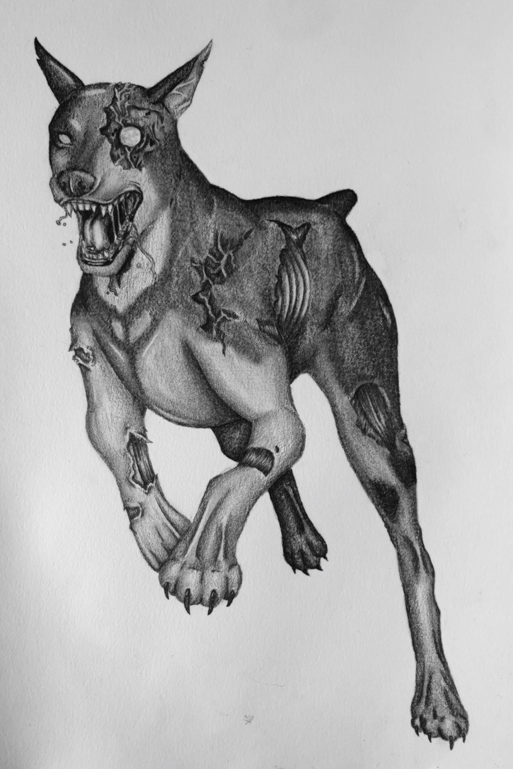 Zombie dog (re)  Zombie drawings, Zombie art, Scary art