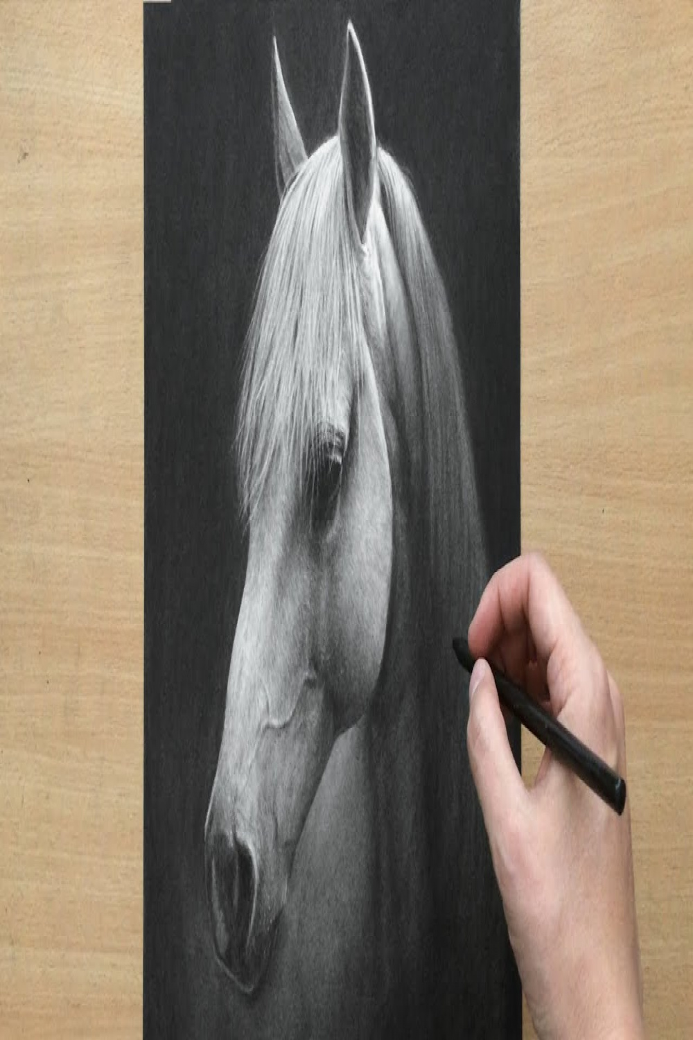 Charcoal Drawing of a White Horse