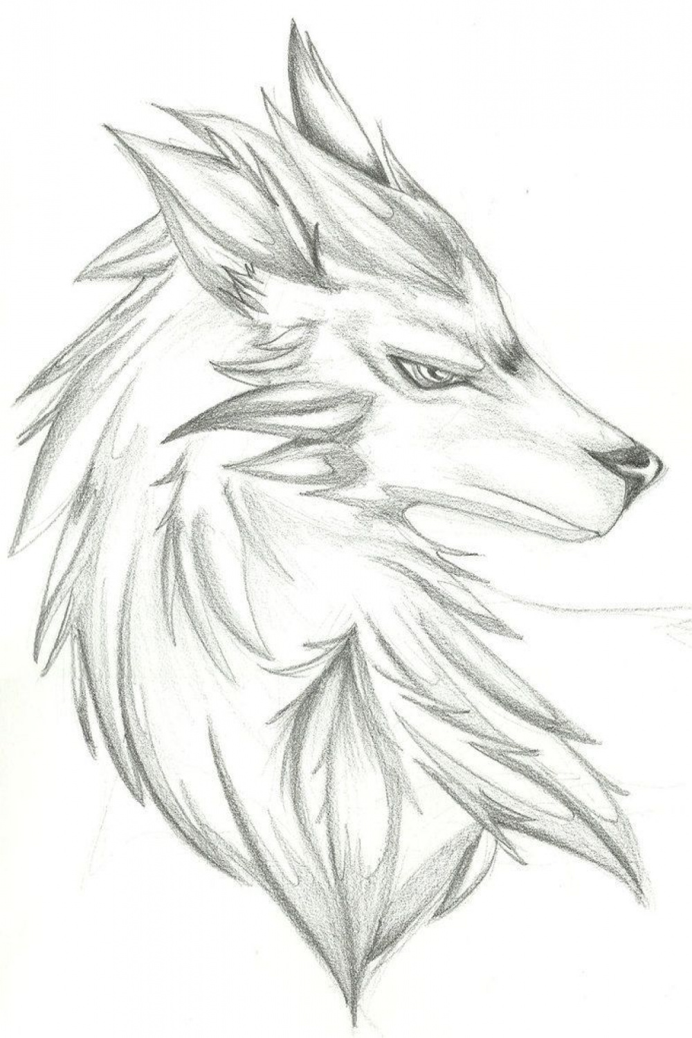 + Cool Wolf Drawing Ideas  Cool wolf drawings, Wolf sketch