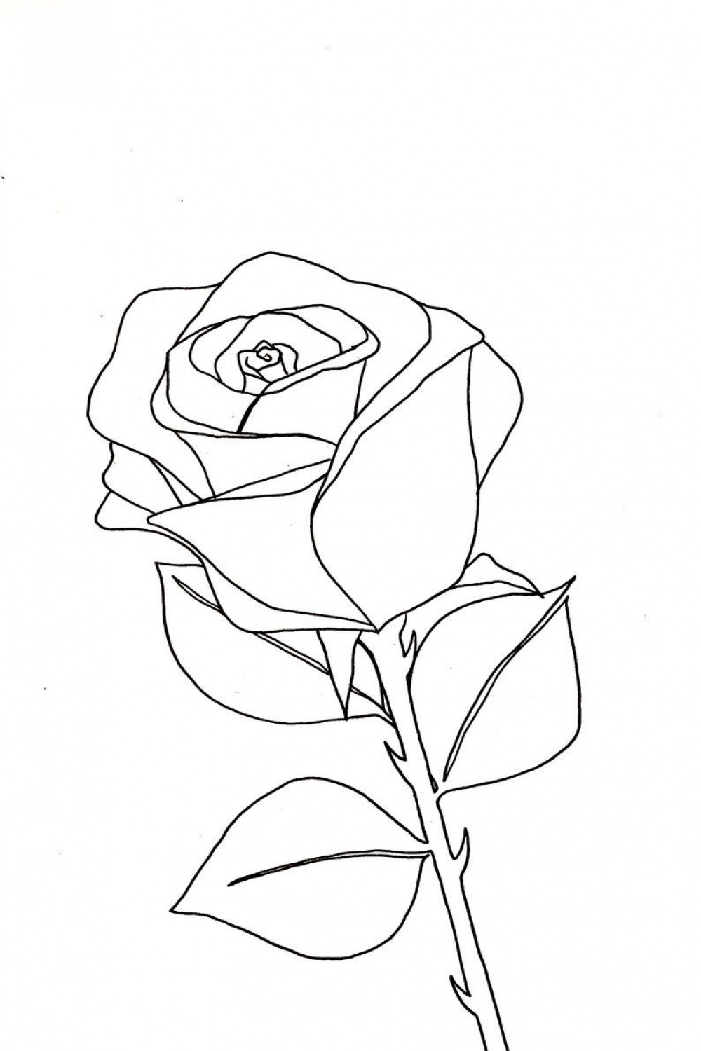 Digital Print Rose Line Drawing Wall Art Décor, Print at Home