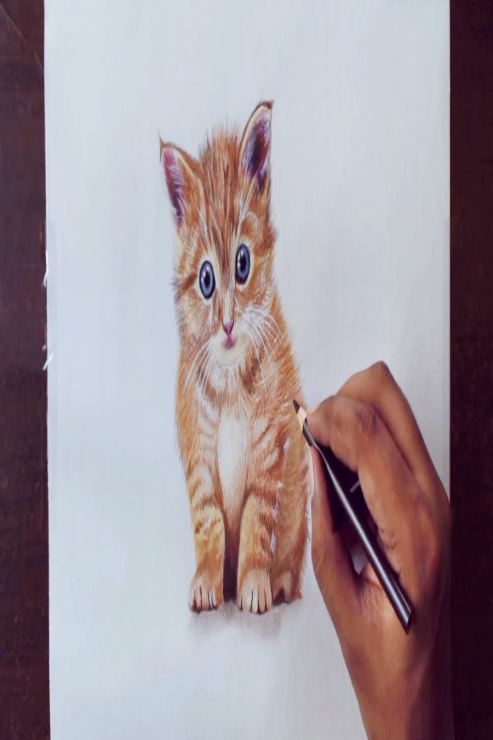 Drawing Animals  - Drawing a kitty - prismacolor pencils