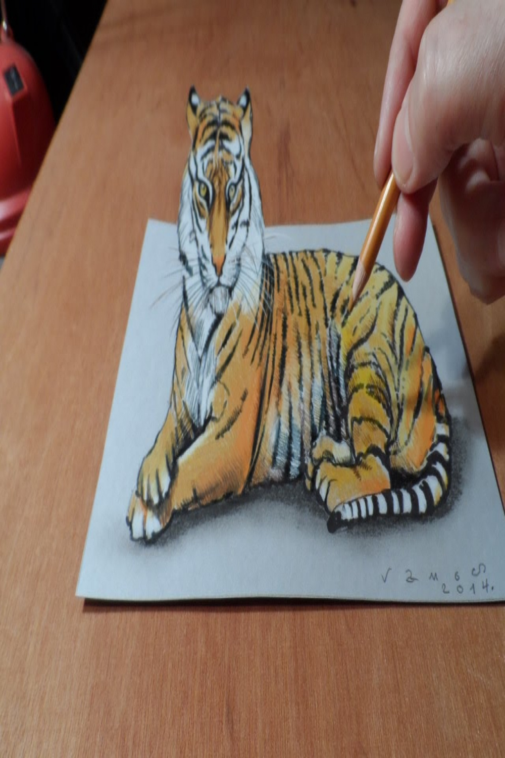 Drawing D Tiger - How to Draw a Tiger - Trick Art on Paper - By Vamos