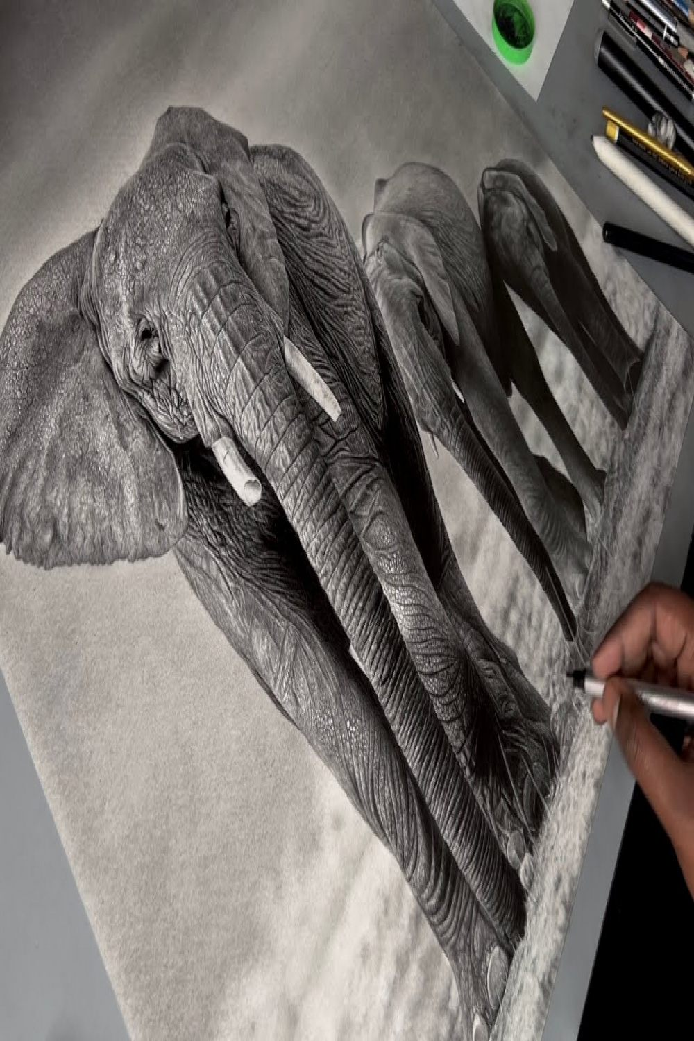 Drawing Hyperrealistic Elephants for  hours + on A