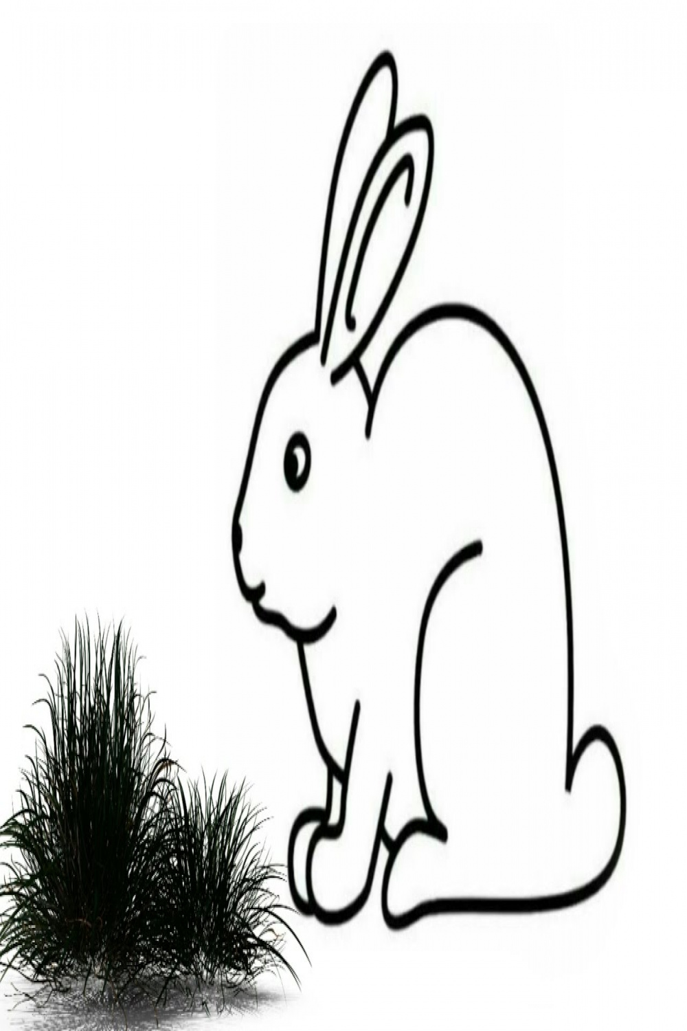 Drawing Rabbit -Rabbit Outline - Easy and Quick Drawing.