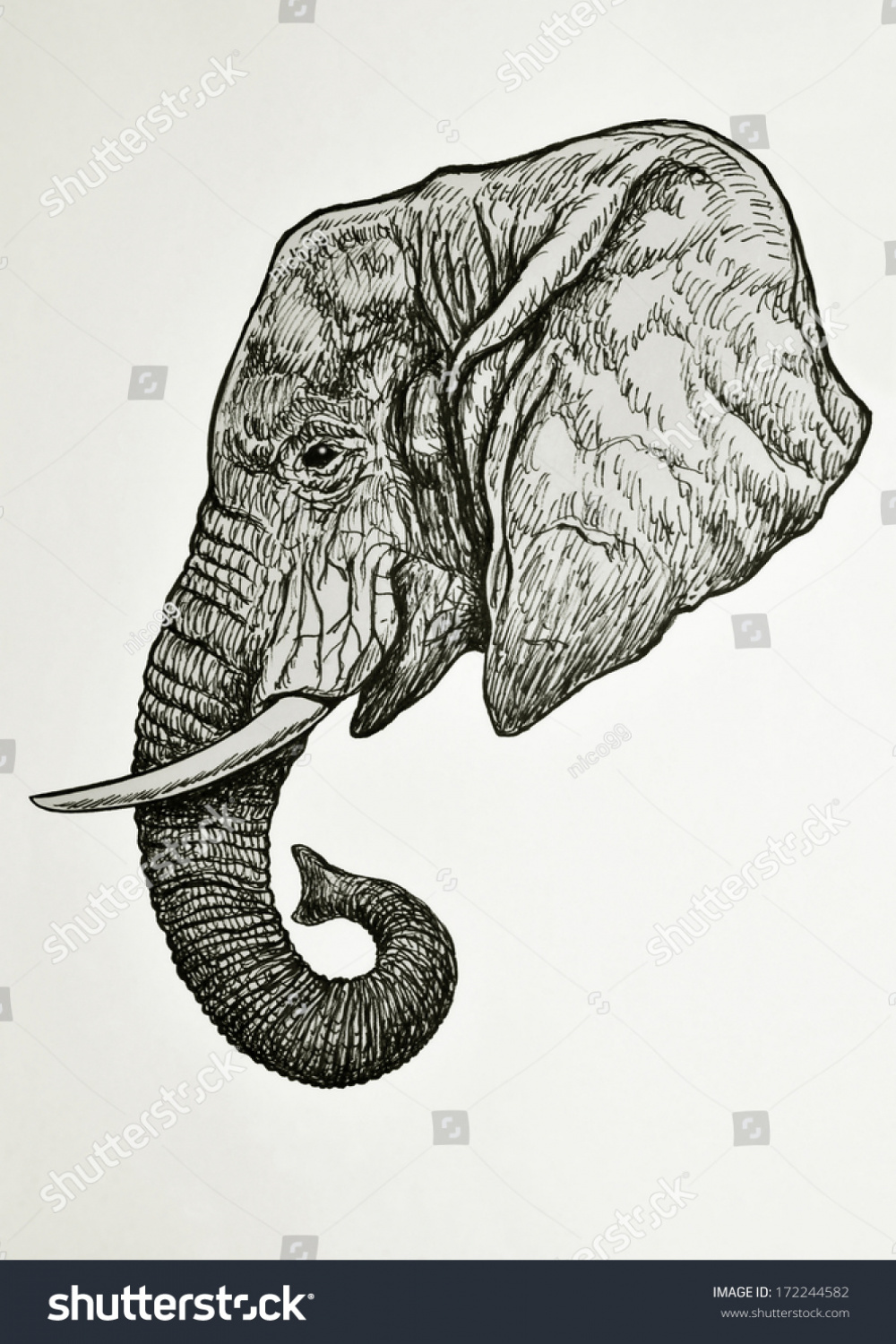 Elephant Head Side View: Stockillustration   Shutterstock