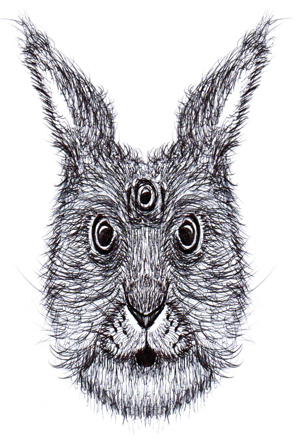 Eyed Rabbit :: Behance