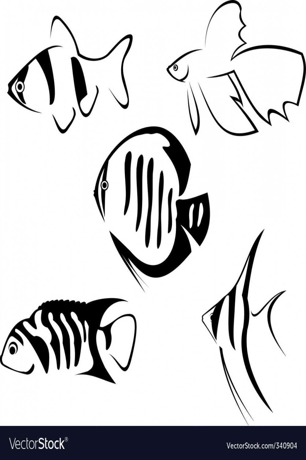 Fish line drawing Royalty Free Vector Image - VectorStock