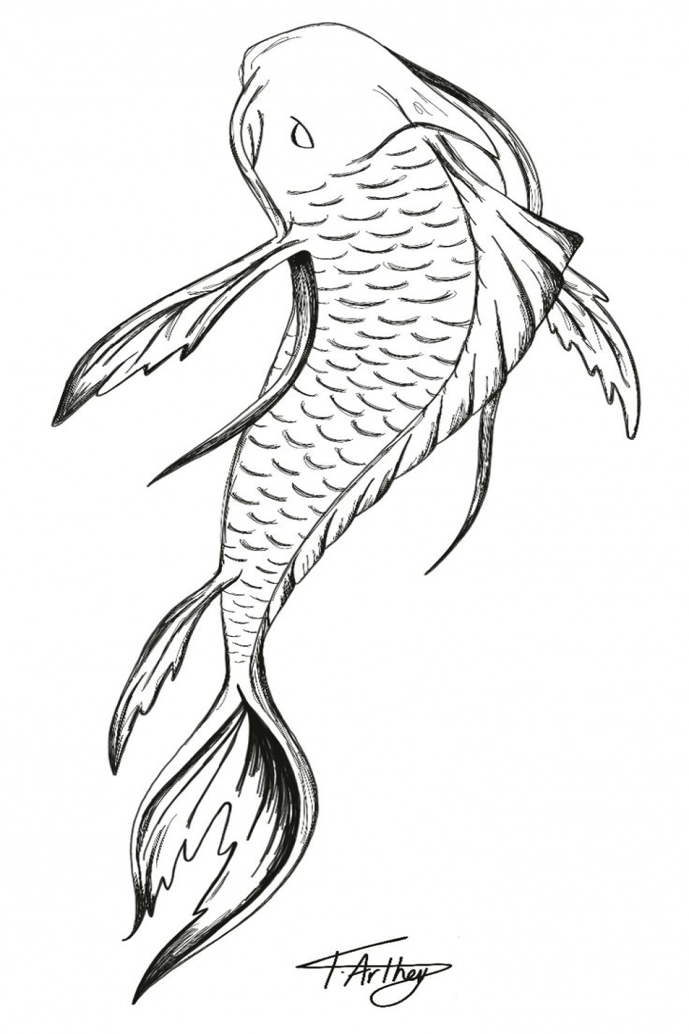 Fish tattoo design  Koi fish drawing, Koi art, Fish drawings