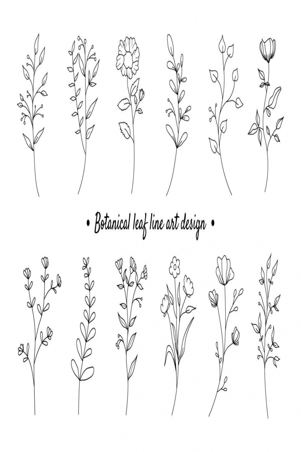 Flower Line Drawing Vector Art, Icons, and Graphics for Free Download