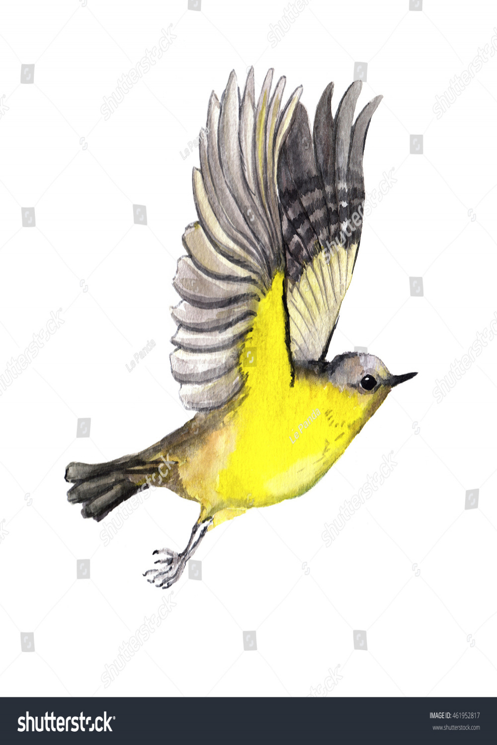 Flying Bird Watercolor Stock Illustration   Shutterstock