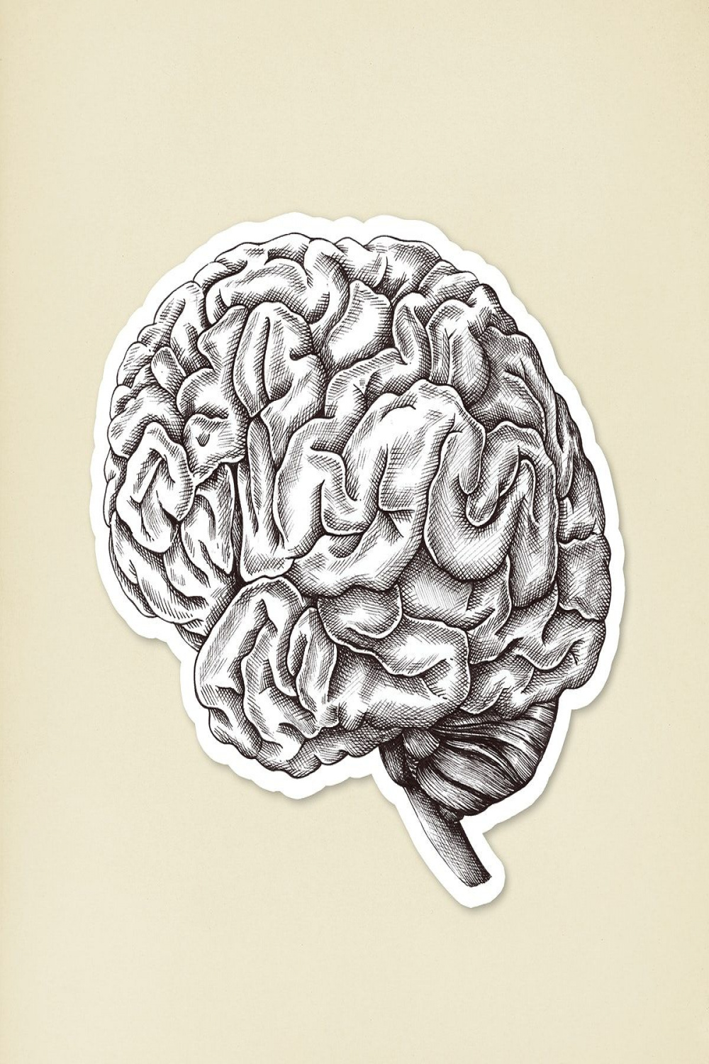 Hand drawn human brain sticker with a white border  premium image