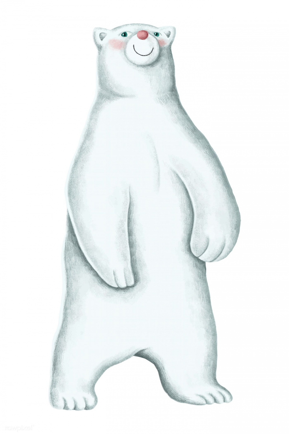 Hand-drawn standing white polar bear  free image by rawpixel