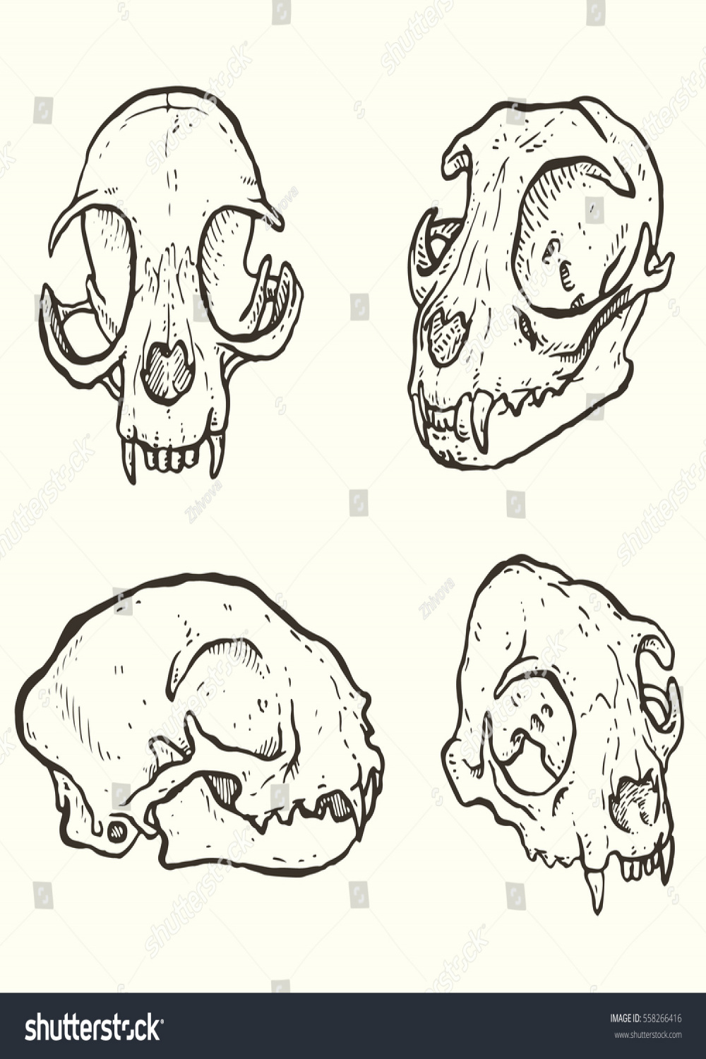 handgezeichnete Vektorgrafik der Katzenschädel: Stock-Vektorgrafik