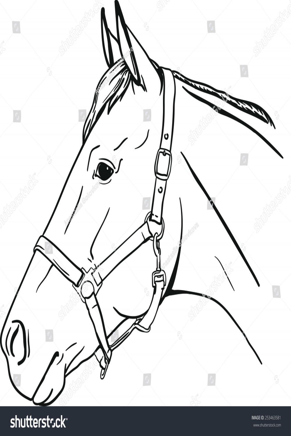 Horse Halter Stock Vector (Royalty Free)   Shutterstock