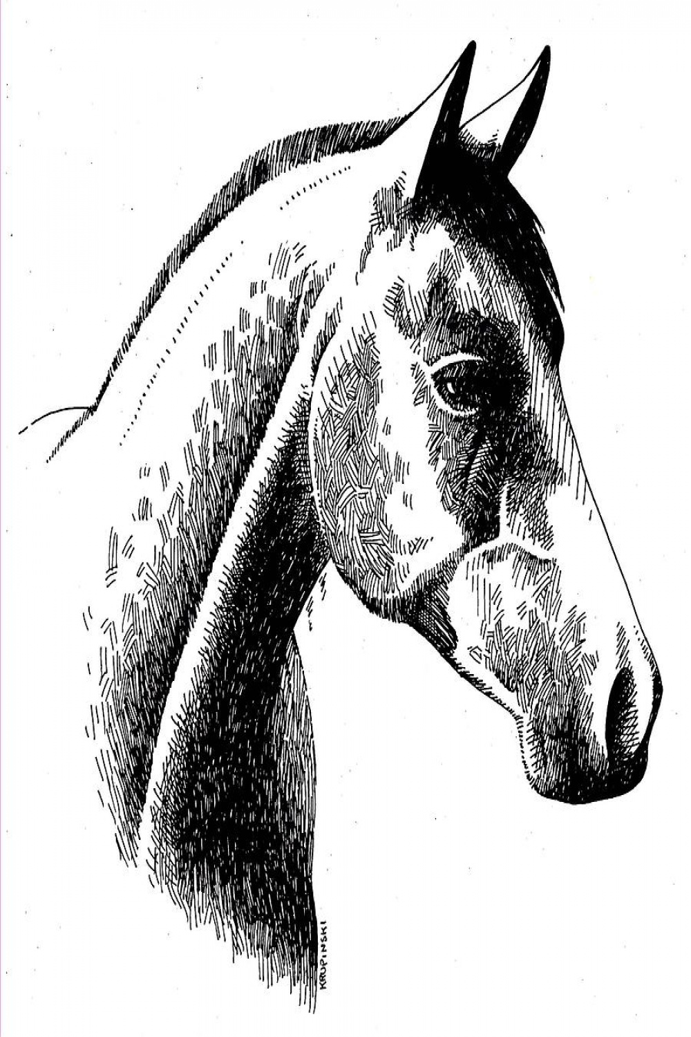 Horse Ink by William Krupinski