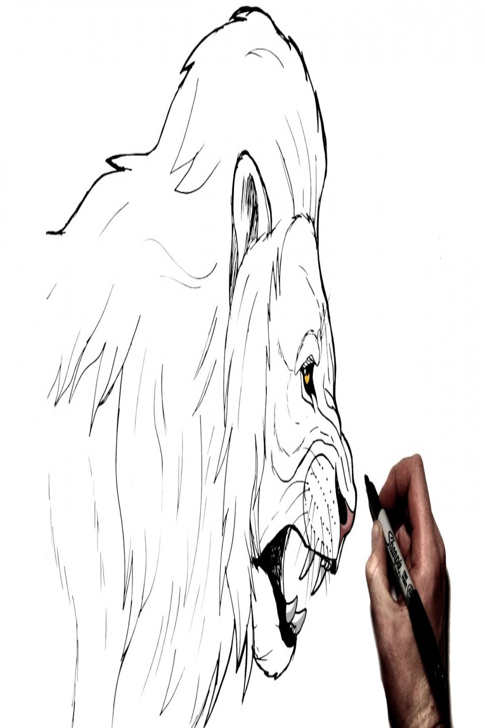 How To Draw a Lion (Side Profile)  Step By Step