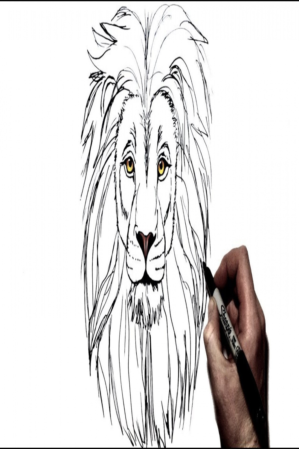 How to Draw a Lion  Step by Step