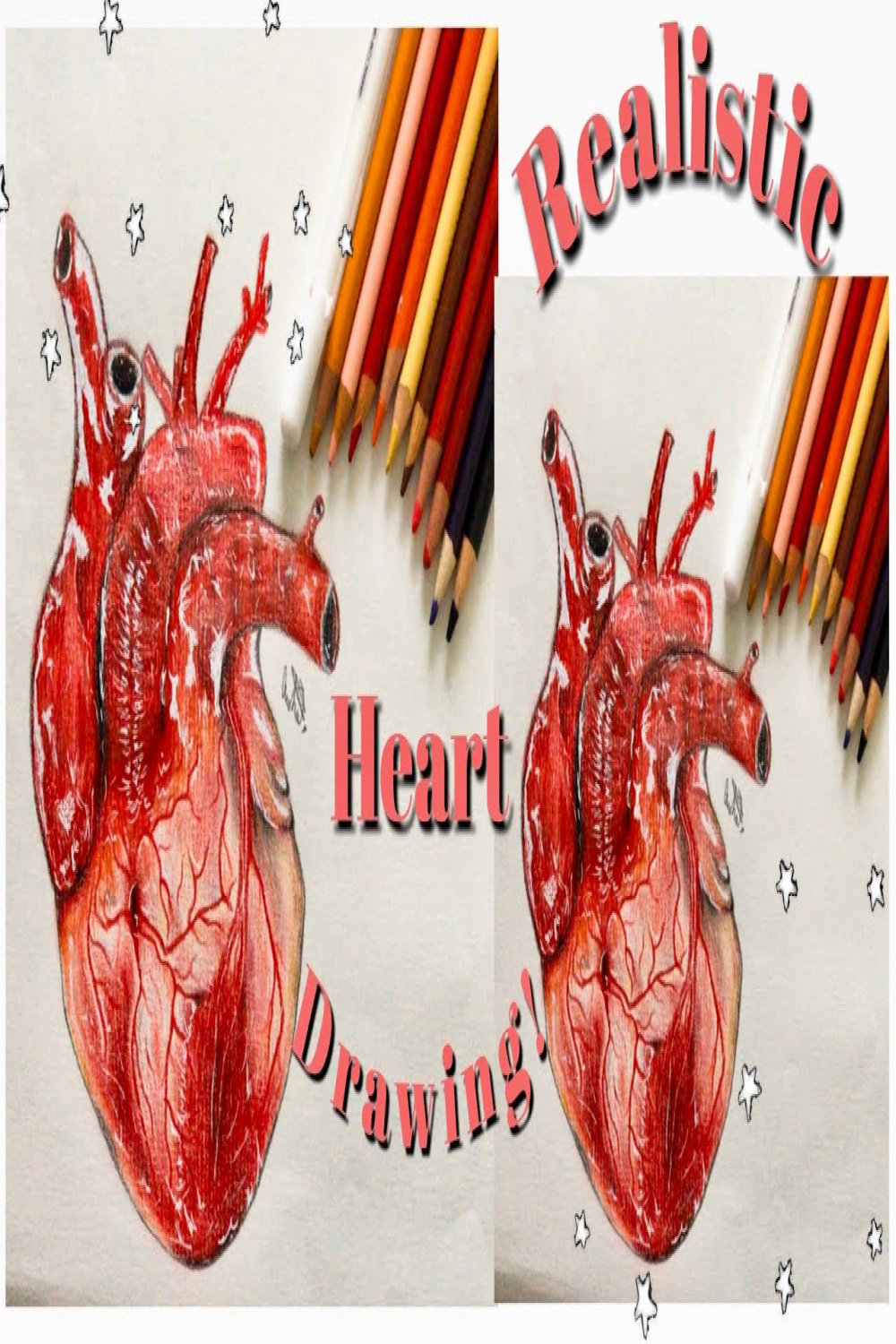 How to Draw a Realistic Human Heart Using Colored Pencils  Satisfying  Speed Drawing!