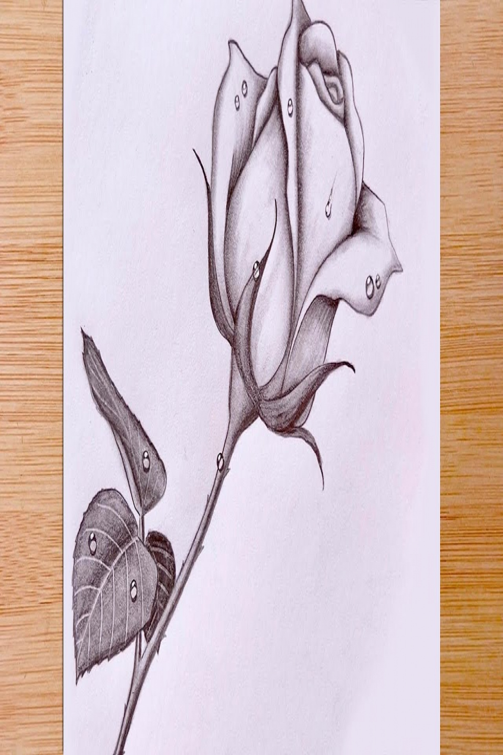 How To Draw a Rose with Water Drops - Pencil Sketch