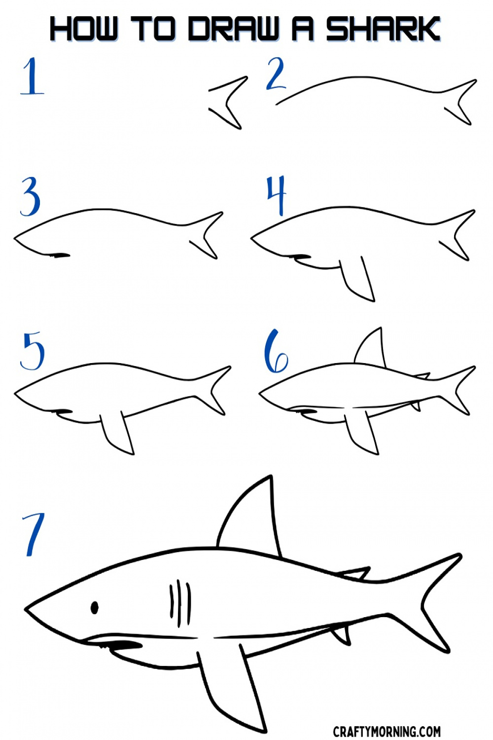 How to Draw a Shark (Easy Step by Step) - Crafty Morning