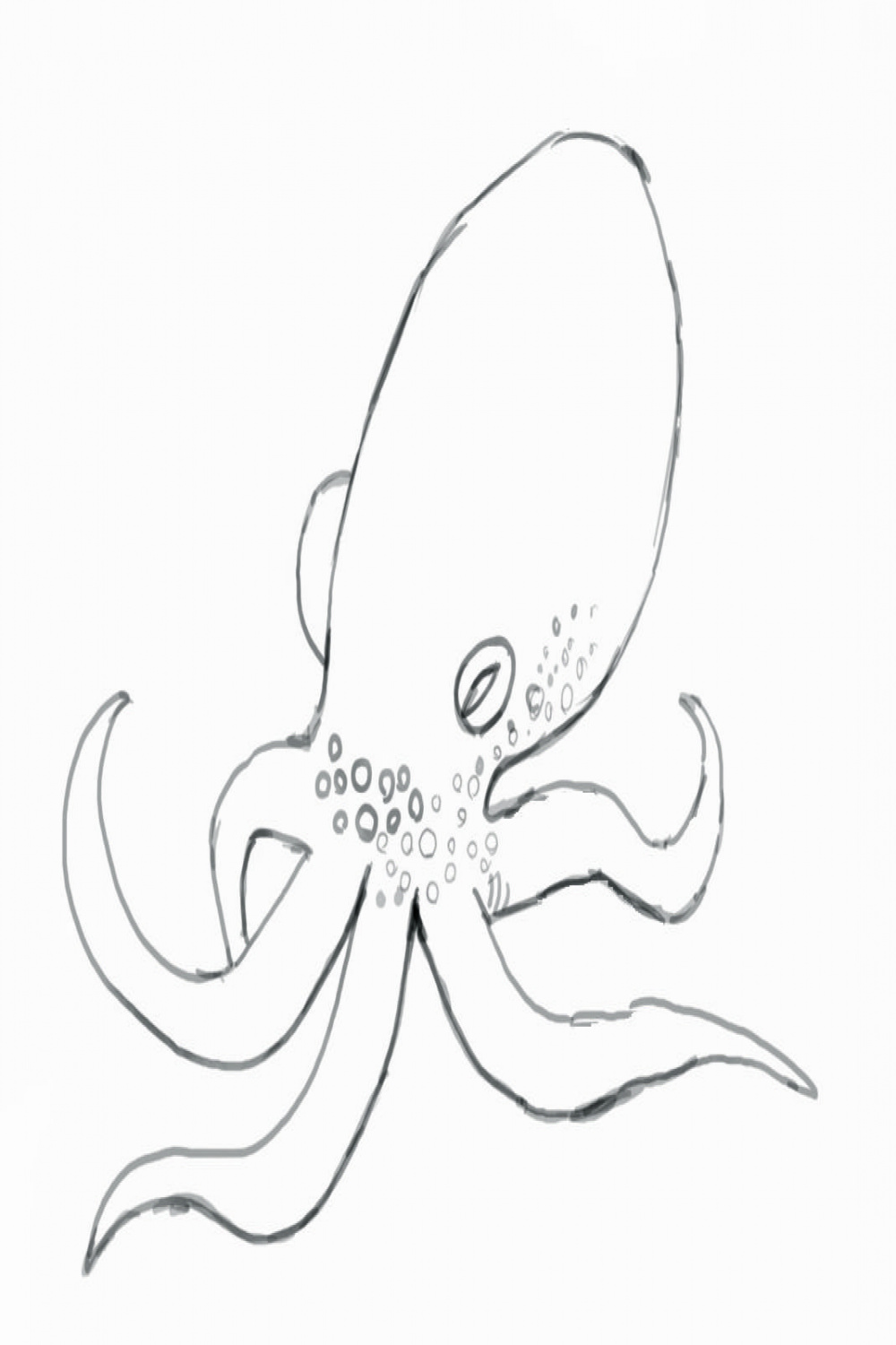 How To Draw an Octopus - Step-by-Step  Octopus drawing, Octopus