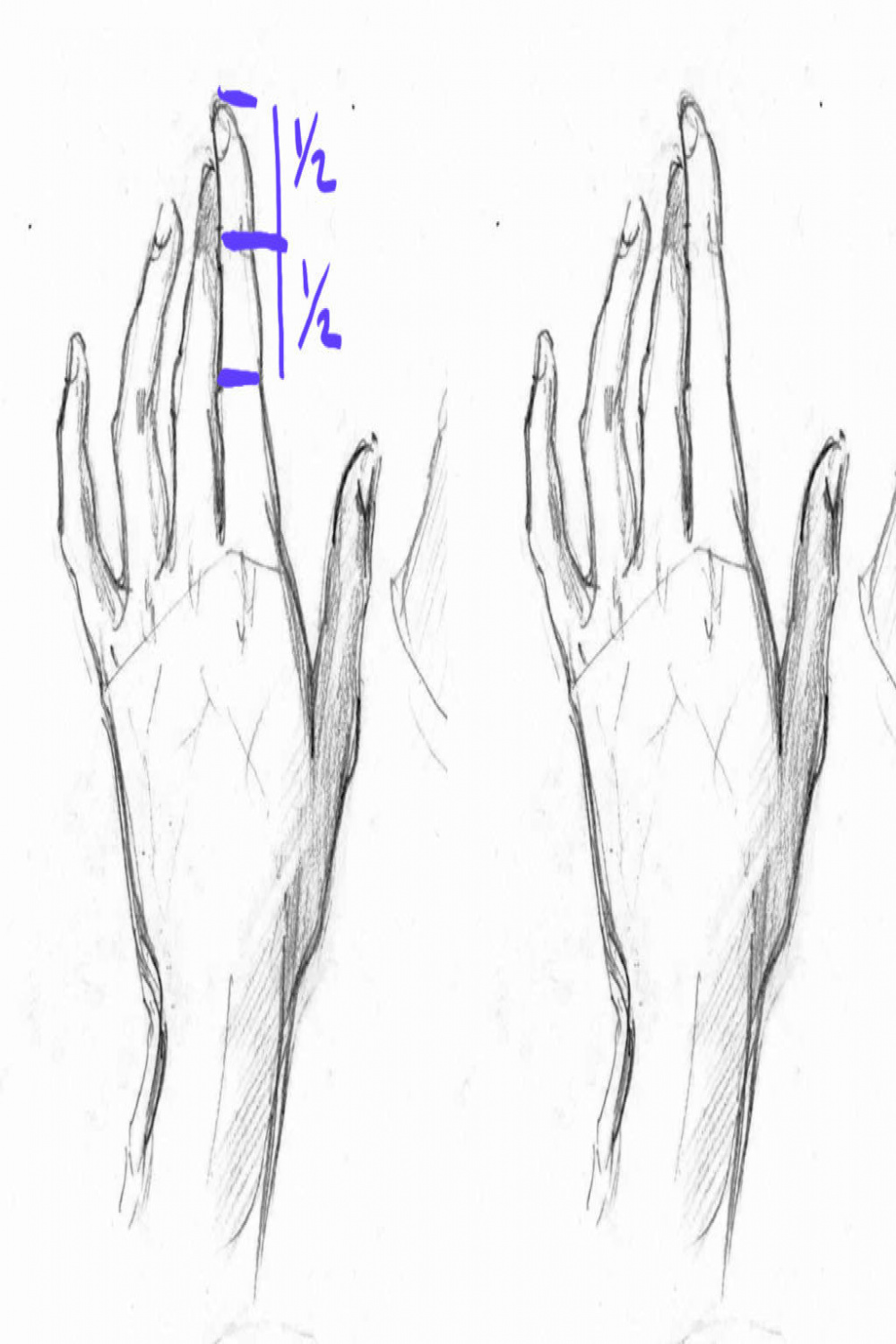 How to Draw Anime Hands, a Step-by-Step Tutorial – Two Methods