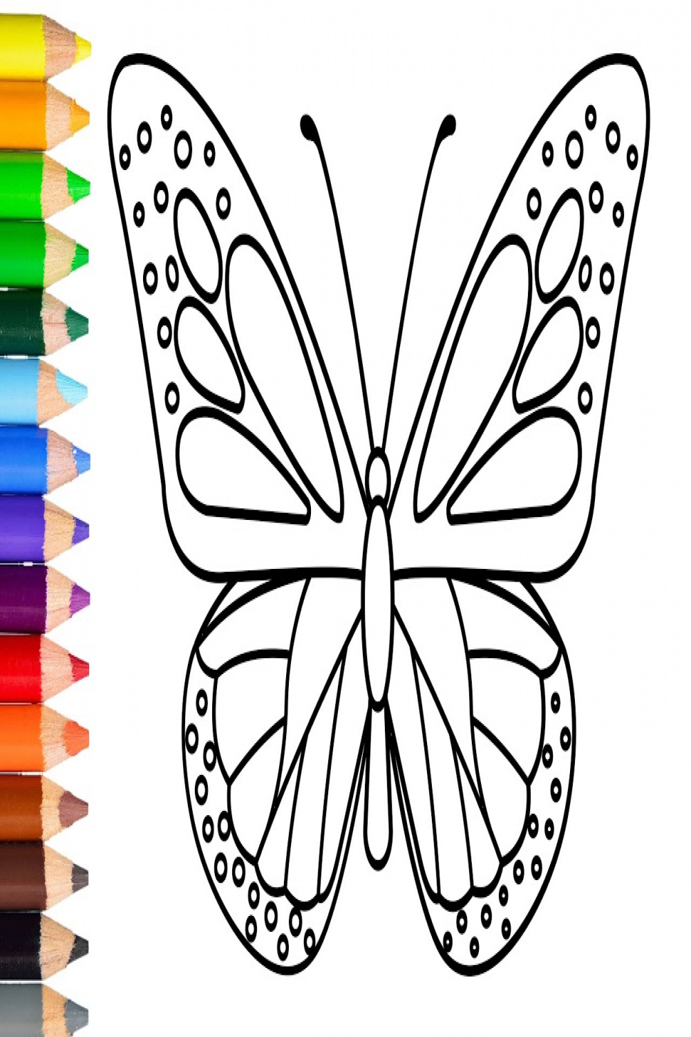 How to draw butterfly easy and step step  learn to draw butterfly  easy  to draw butterfly wings