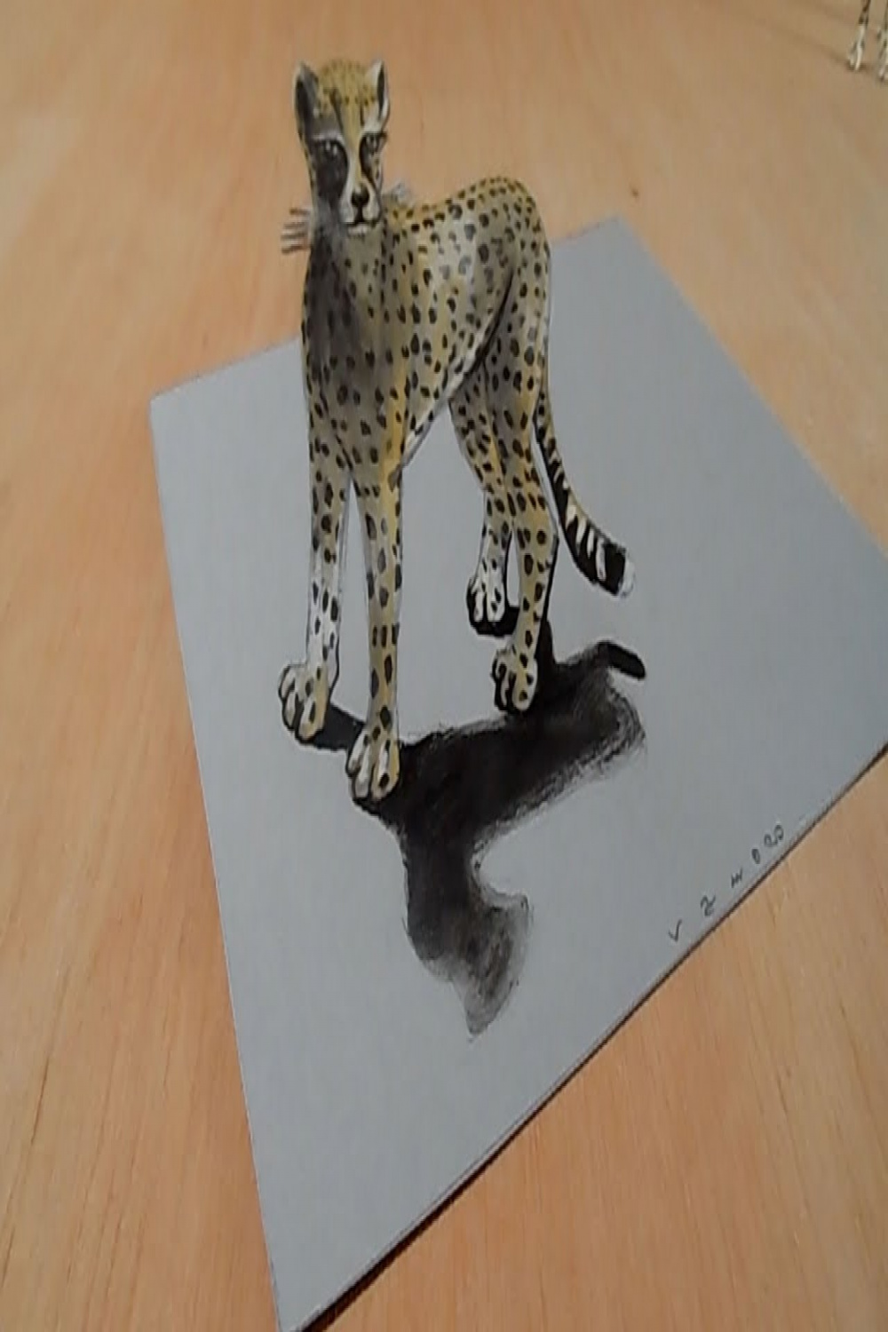 How to Draw D Animals - Awesome Cheetah Illusion - Vamos