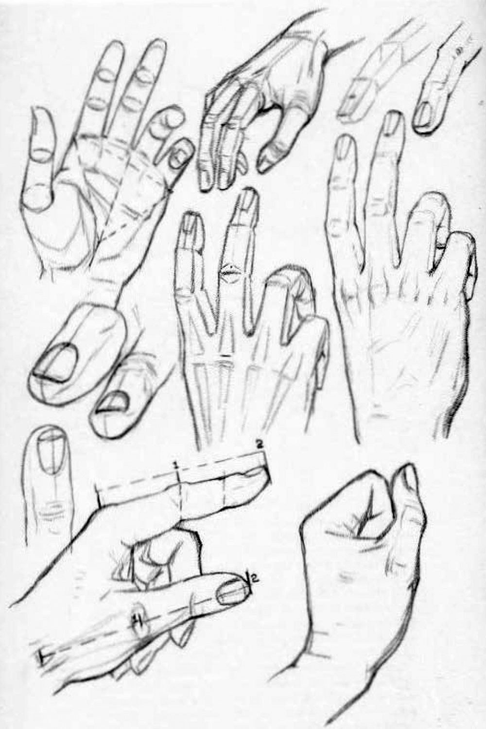 How to Draw Hands - Reference Sheets and Guides to Drawing Hands